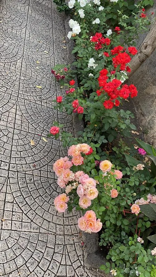 Casa Delle Rose Villa Catania